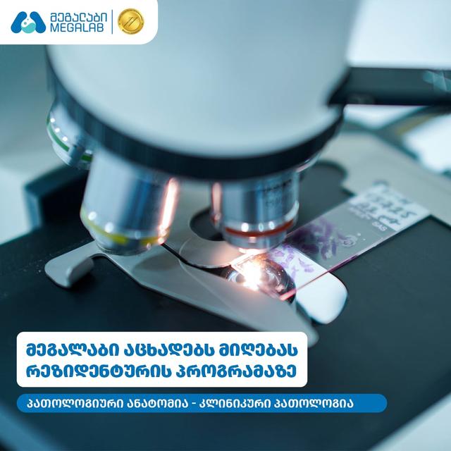 მეგალაბი აცხადებს მიღებას რეზიდენტურის პროგრამებზე: